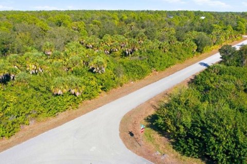 Land in Port Charlotte, Florida № 2165713 - photo 6