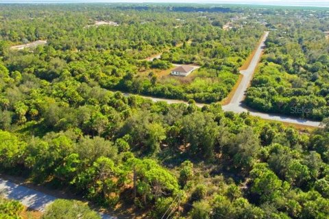 Land in Port Charlotte, Florida № 2165713 - photo 7