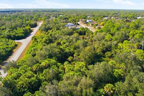Land in Port Charlotte, Florida № 2165713 - photo 9