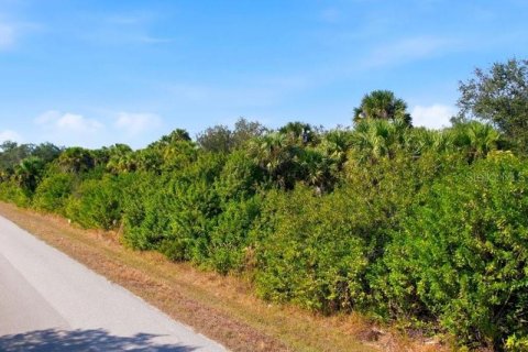 Land in Port Charlotte, Florida № 2165713 - photo 8