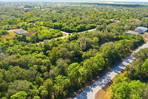 Land in Port Charlotte, Florida № 2165713 - photo 3