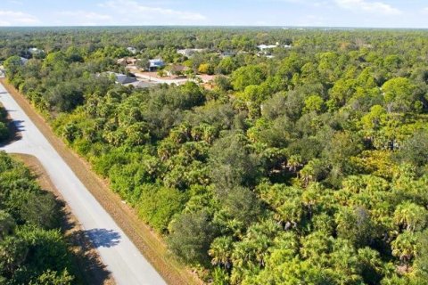 Land in Port Charlotte, Florida № 2165713 - photo 4