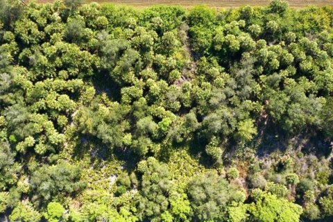 Land in Port Charlotte, Florida № 2165713 - photo 10