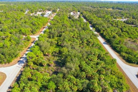 Land in Port Charlotte, Florida № 2165713 - photo 11