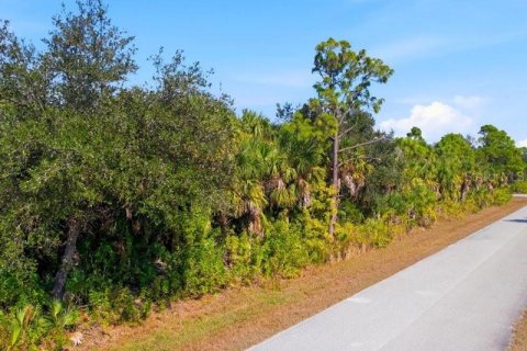 Land in Port Charlotte, Florida № 2165713