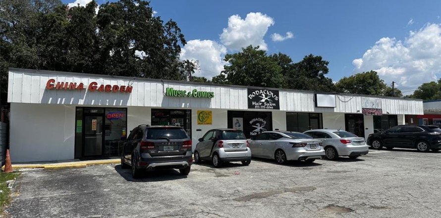 Commercial property in Tampa, Florida 427.35 sq.m. № 2205695