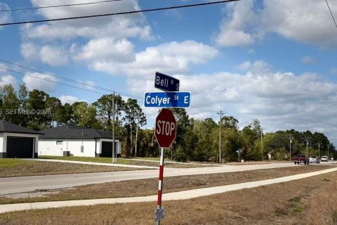Land in Lehigh Acres, Florida № 2030379 - photo 2