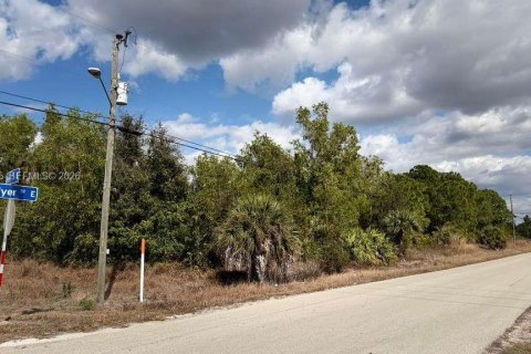 Land in Lehigh Acres, Florida № 2030379 - photo 3