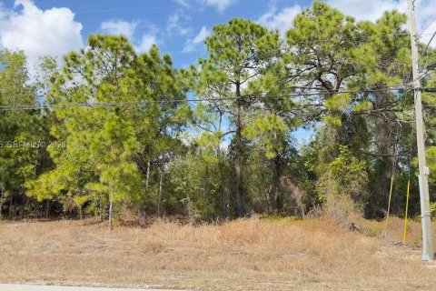 Land in Lehigh Acres, Florida № 2030379