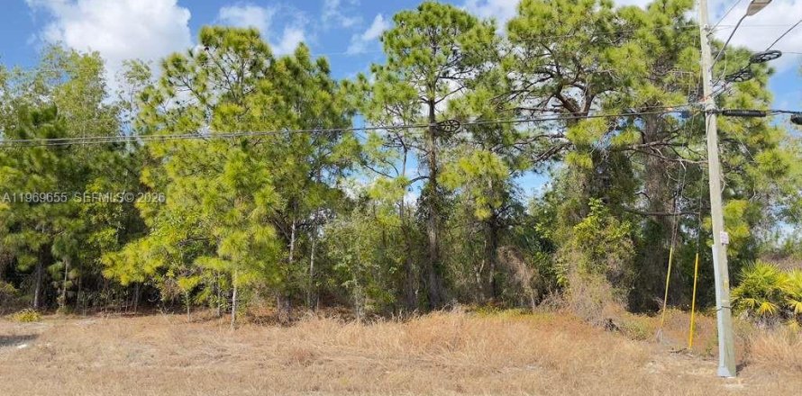 Land in Lehigh Acres, Florida № 2030379