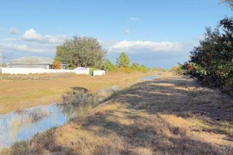 Land in Lehigh Acres, Florida № 2030379 - photo 4