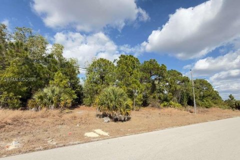Land in Lehigh Acres, Florida № 2030379 - photo 5