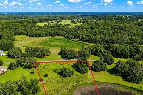 Land in Inverness, Florida № 2303011