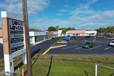 Propiedad comercial en alquiler en Tarpon Springs, Florida, 2476.22 m2 № 214166 - foto 20