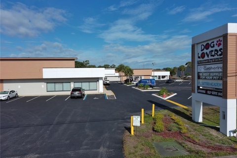 Propiedad comercial en alquiler en Tarpon Springs, Florida, 2476.22 m2 № 214166 - foto 22
