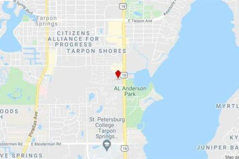 Propiedad comercial en alquiler en Tarpon Springs, Florida, 2476.22 m2 № 214166 - foto 2