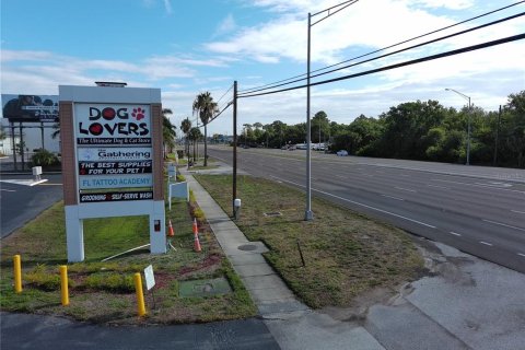 Propiedad comercial en alquiler en Tarpon Springs, Florida, 2476.22 m2 № 214166 - foto 27