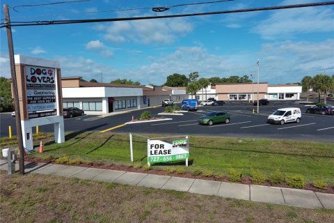 Propiedad comercial en alquiler en Tarpon Springs, Florida, 2476.22 m2 № 214166 - foto 23