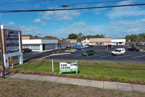 Propiedad comercial en alquiler en Tarpon Springs, Florida, 2476.22 m2 № 214166 - foto 24