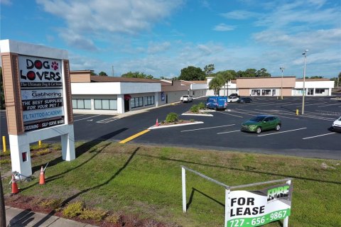 Propiedad comercial en alquiler en Tarpon Springs, Florida, 2476.22 m2 № 214166 - foto 19