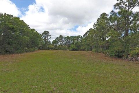 Land in Punta Gorda, Florida № 2166218 - photo 10