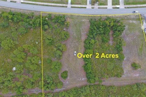 Land in Punta Gorda, Florida № 2166218 - photo 11