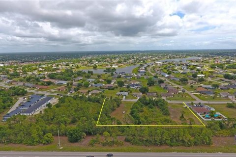 Land in Punta Gorda, Florida № 2166218 - photo 9