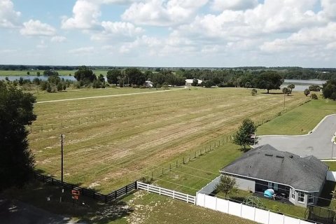 Land in Umatilla, Florida № 1744760 - photo 2