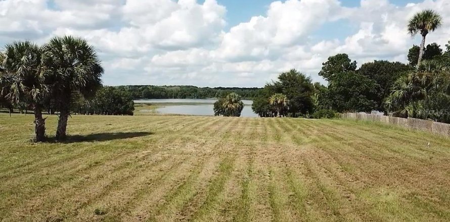 Land in Umatilla, Florida № 1744760