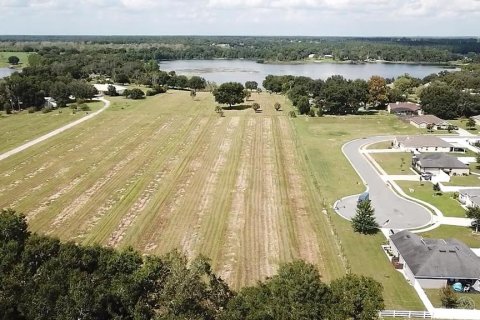 Land in Umatilla, Florida № 1744760 - photo 3