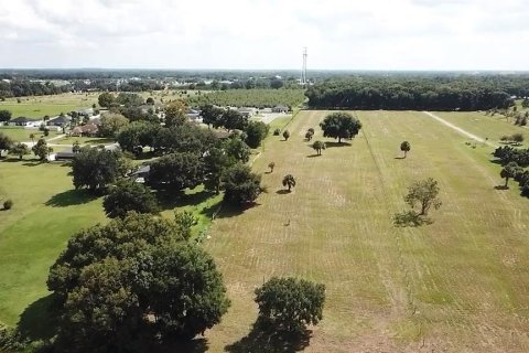 Land in Umatilla, Florida № 1744760 - photo 6