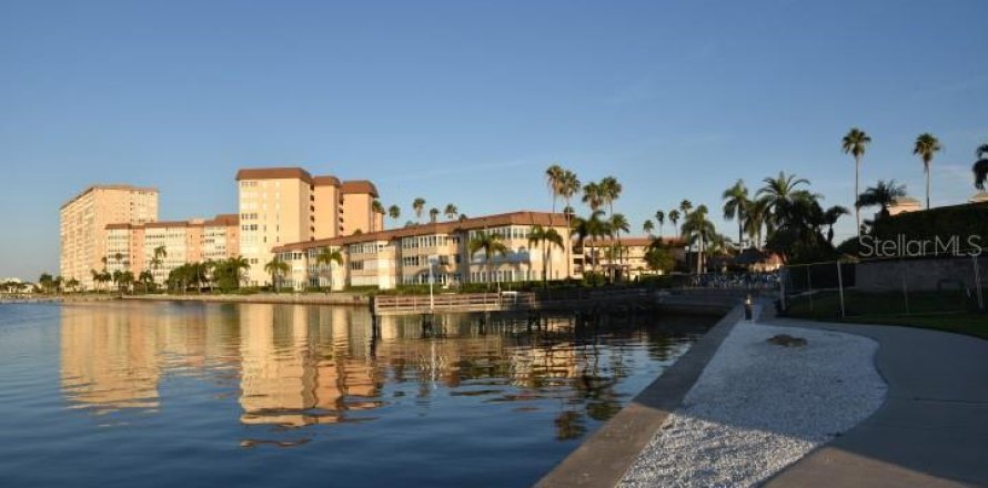 Condo à Saint Petersburg, Floride, 2 chambres № 1845113