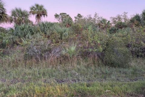 Terrain à vendre à Port Charlotte, Floride № 2196369 - photo 3