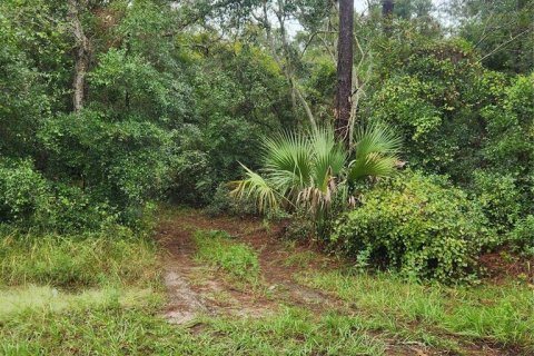 Terrain à vendre à DeLand, Floride № 1917087 - photo 4