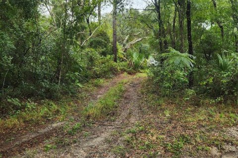 Terrain à vendre à DeLand, Floride № 1917087 - photo 5