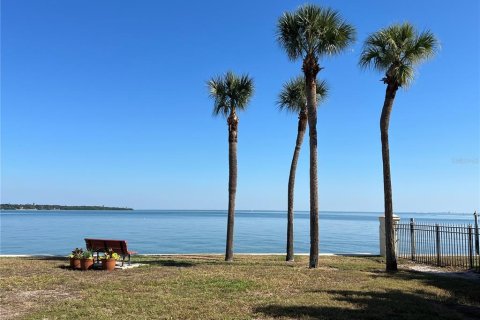 Condo in Saint Petersburg, Florida, 2 bedrooms  № 2208304 - photo 5