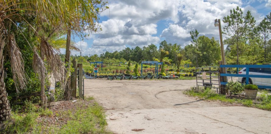 Commercial property in Saint Augustine, Florida 46.45 sq.m. № 765692