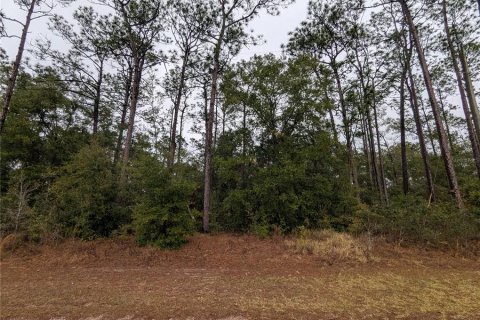 Land in Citrus Springs, Florida № 2161153 - photo 2