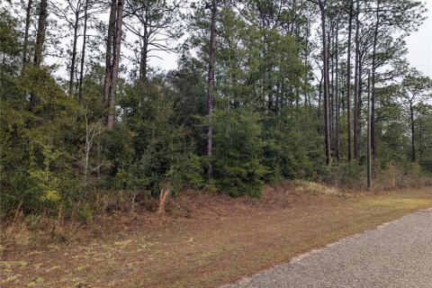 Land in Citrus Springs, Florida № 2161153 - photo 3