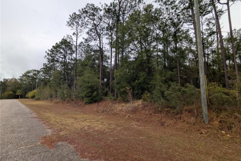 Land in Citrus Springs, Florida № 2161153
