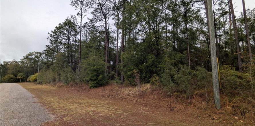 Land in Citrus Springs, Florida № 2161153