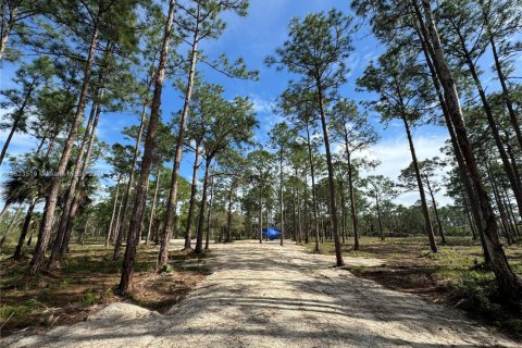 Land in Clewiston, Florida № 1860465 - photo 13