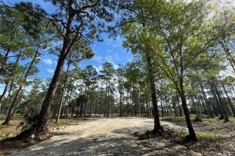 Land in Clewiston, Florida № 1860465 - photo 12