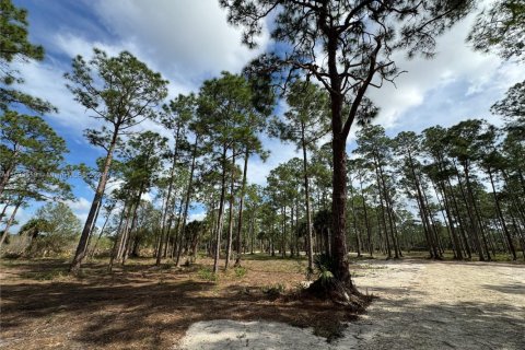Land in Clewiston, Florida № 1860465 - photo 21