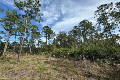 Land in Clewiston, Florida № 1860465 - photo 27