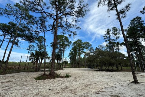 Land in Clewiston, Florida № 1860465 - photo 16