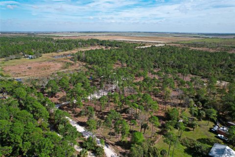 Land in Clewiston, Florida № 1860465 - photo 8