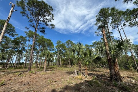 Land in Clewiston, Florida № 1860465 - photo 26