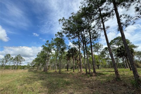 Land in Clewiston, Florida № 1860465 - photo 23