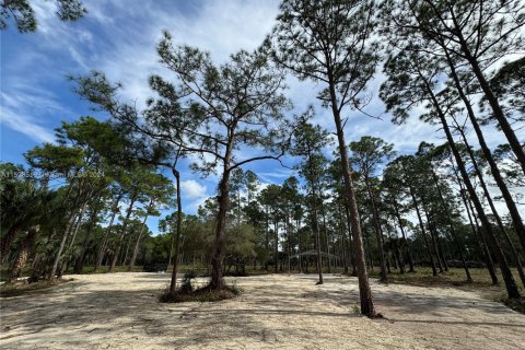 Land in Clewiston, Florida № 1860465 - photo 15